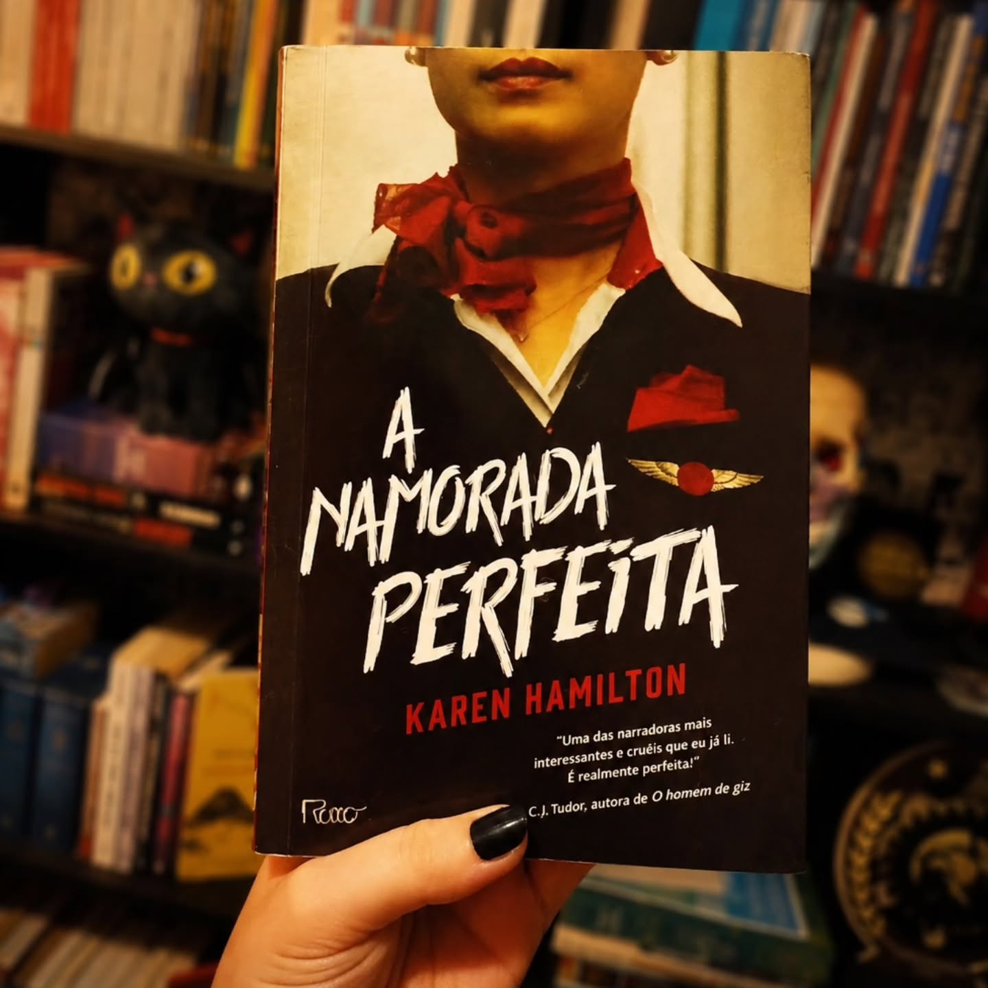 A namorada perfeita - Karen Hamilton